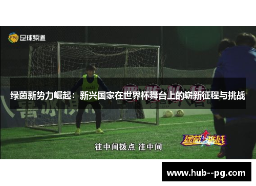 绿茵新势力崛起：新兴国家在世界杯舞台上的崭新征程与挑战