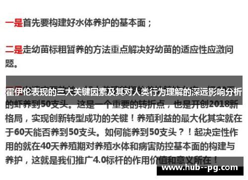 霍伊伦表现的三大关键因素及其对人类行为理解的深远影响分析 霍伊伦表现的三大关键因素及其对人类行为理解的深远影响分析