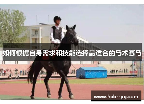 如何根据自身需求和技能选择最适合的马术赛马