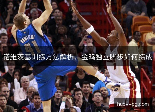 诺维茨基训练方法解析，金鸡独立脚步如何练成