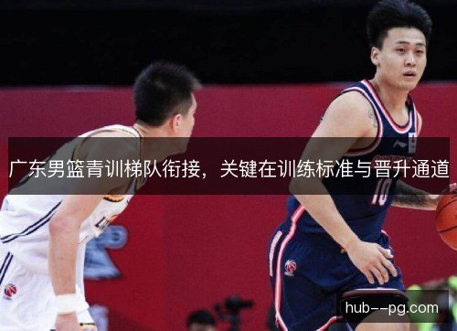 广东男篮青训梯队衔接，关键在训练标准与晋升通道